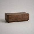Rechteckiger Couchtisch mit Stauraum aus MDF mit Walnussfurnier, Walnussbraun, 120 x 60 x 40 cm
